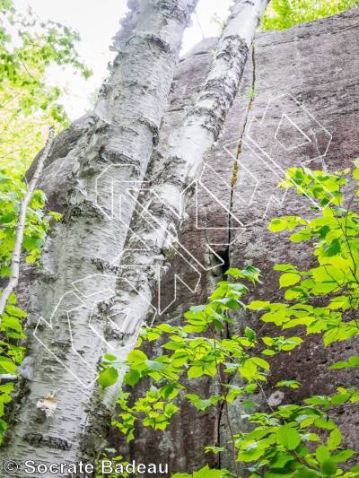 photo of Dans le Bois from Québec: La Forêt Ouareau