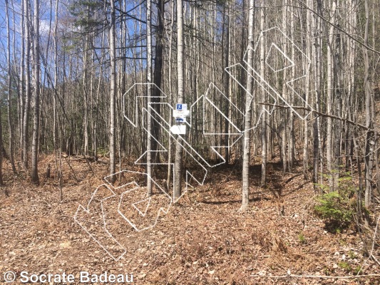 photo of Informations from Québec: La Forêt Ouareau