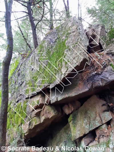 photo of Cachalot from Québec: Mont Rigaud