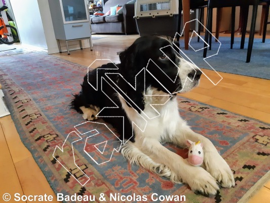 photo of Bloc Yasmin from Québec: Mont Rigaud