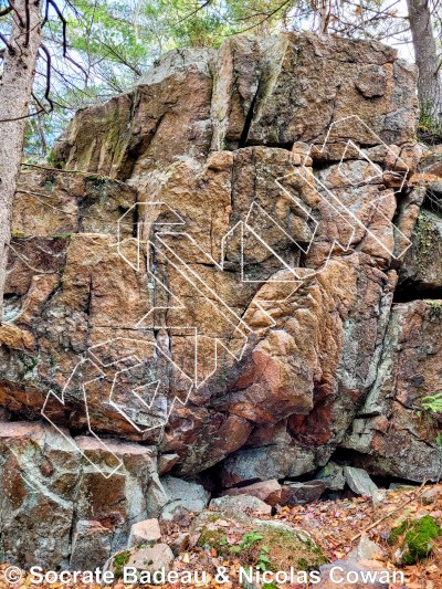 photo of Flakosaurus from Québec: Mont Rigaud