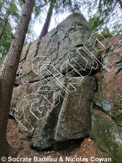 photo of Mur Sous-bois from Québec: Mont Rigaud