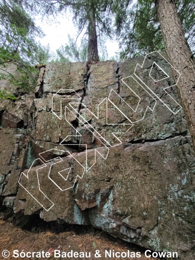 photo of Mur Sous-bois from Québec: Mont Rigaud