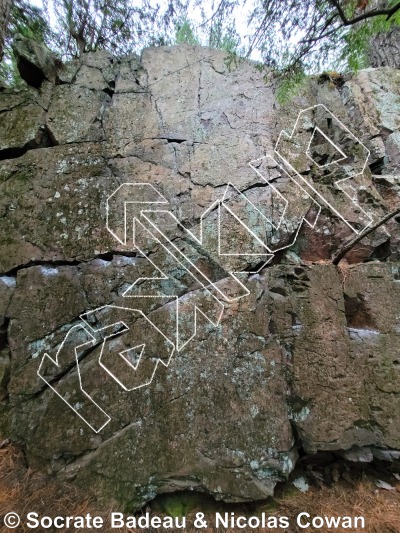 photo of Mur Sous-bois from Québec: Mont Rigaud