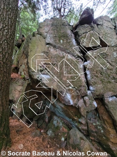 photo of Mur Sous-bois from Québec: Mont Rigaud