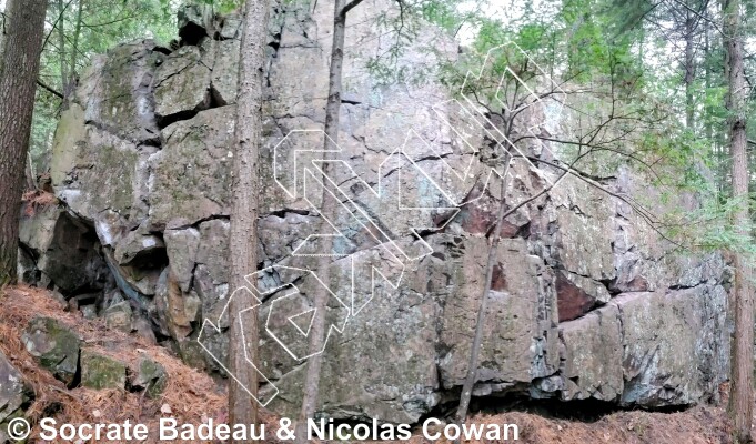 photo of Mur Sous-bois from Québec: Mont Rigaud