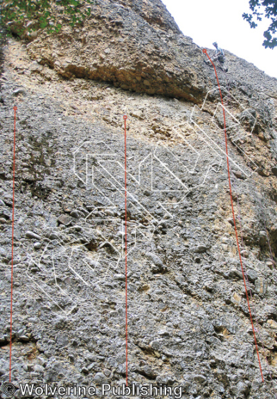 photo of Billy The Kid Wall from Maple Canyon Rock Climbs