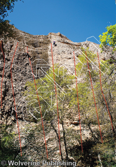 photo of Orangutan Wall from Maple Canyon Rock Climbs