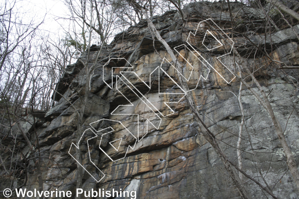 photo of Beer Wall from New River Rock Vol. 1