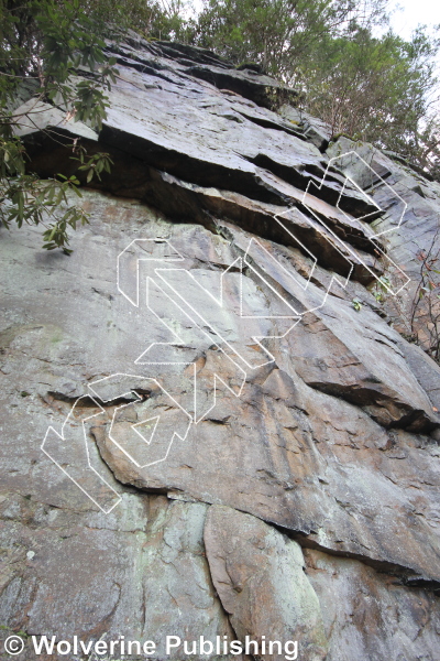 photo of The Rubber Glove Test, 5.12c ★ at First Buttress from New River Rock Vol. 1