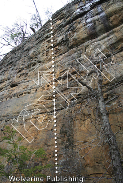 photo of Welcome to   the Meadow, 5.11b ★★★ at Moon Wall from New River Rock Vol. 2