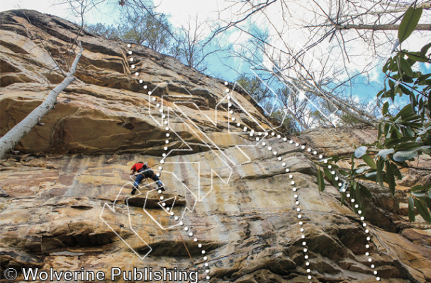 photo of Dracula’s Tooth, 5.11b ★★ at Third Buttress from New River Rock Vol. 2
