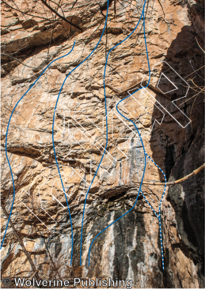 photo of Chicken Soup, 5.13b ★★★ at Lower Tier from Rifle Mountain Park