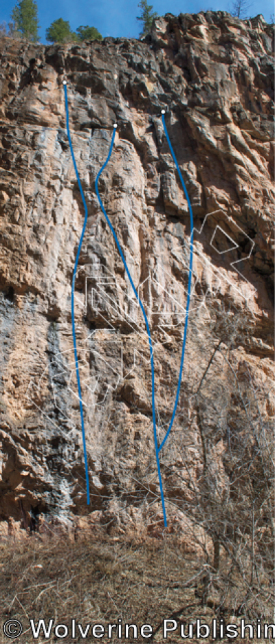 photo of James Brown’s Wild Ride, 5.12a ★★★★ at Meat Wall from Rifle Mountain Park