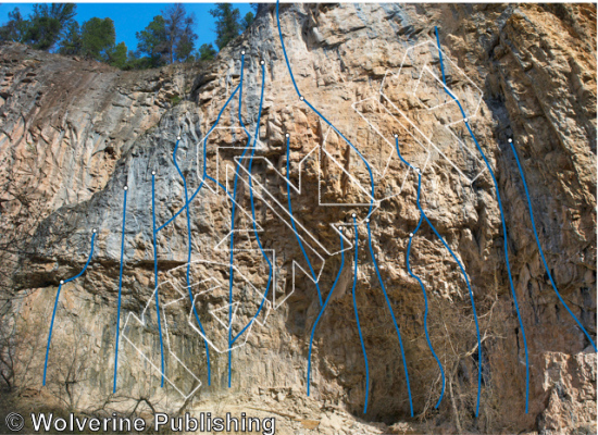 photo of Apocalypse, 5.13c ★★★★★ at Project Wall from Rifle Mountain Park