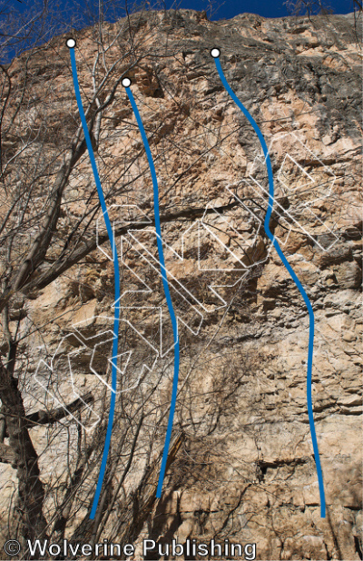 photo of Shades, 5.12d ★ at Wicked Cave from Rifle Mountain Park