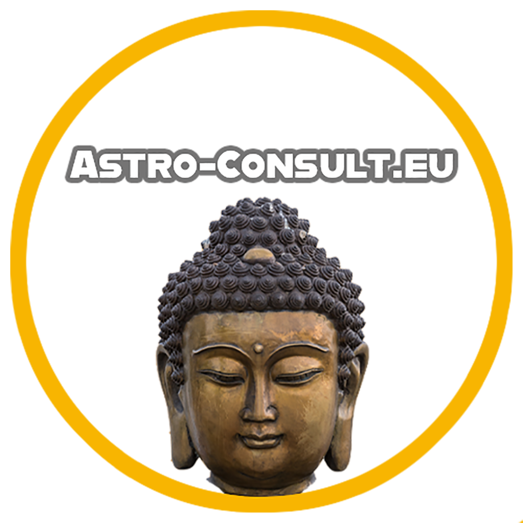 app logo