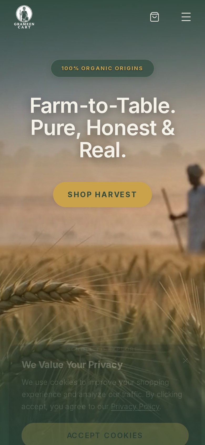 Grameen Cart - Mobile