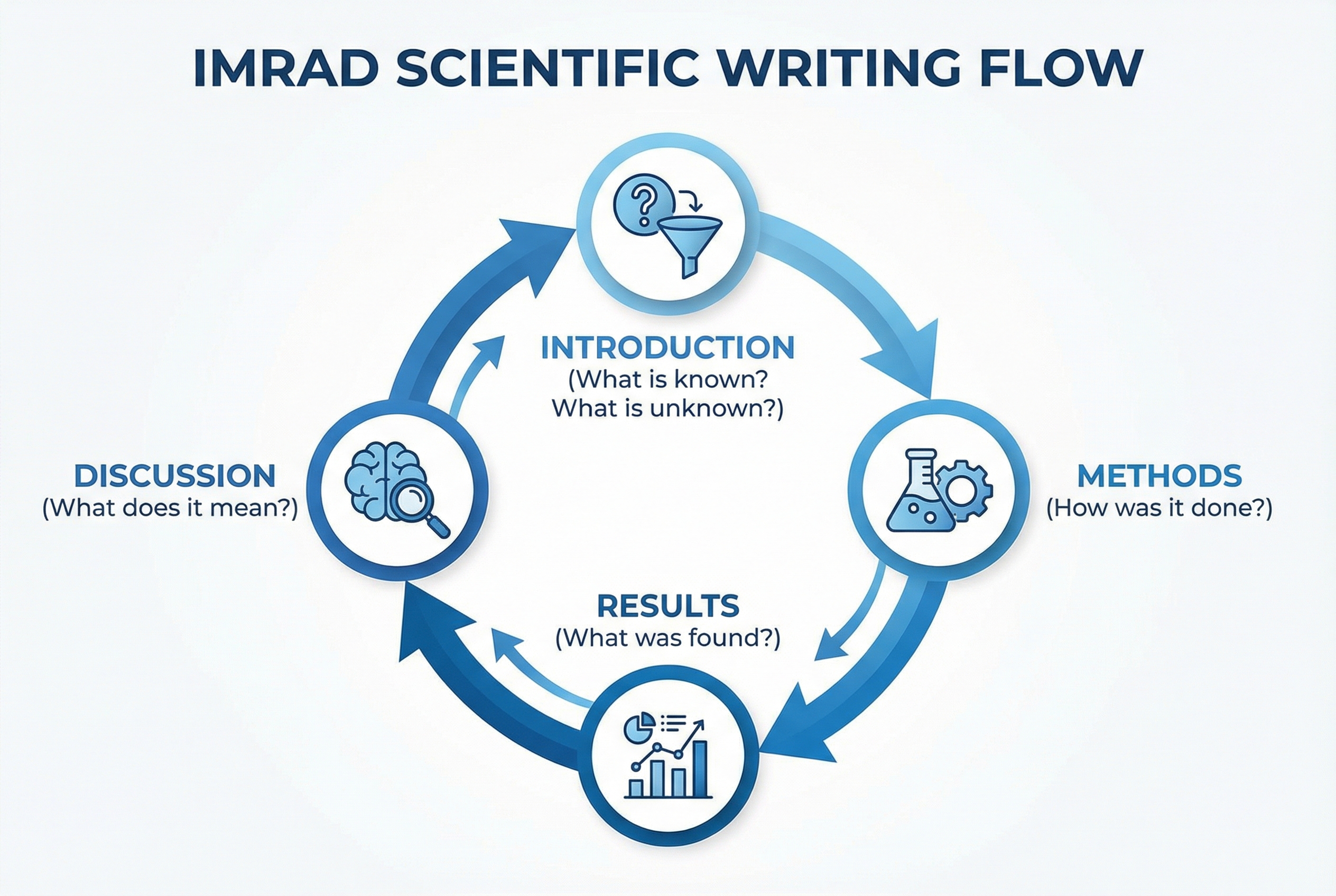 An infographic illustration showing the flow of the IMRAD model in scientific writing, with icons representing introduction, methods, results, and discussion, designed in a modern blue and white color palette, professional academic style