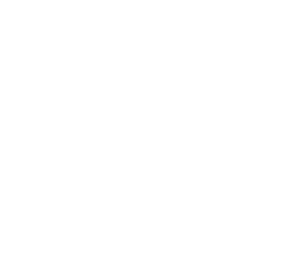 Oasys Medium Logo White - Brand - Web3icon