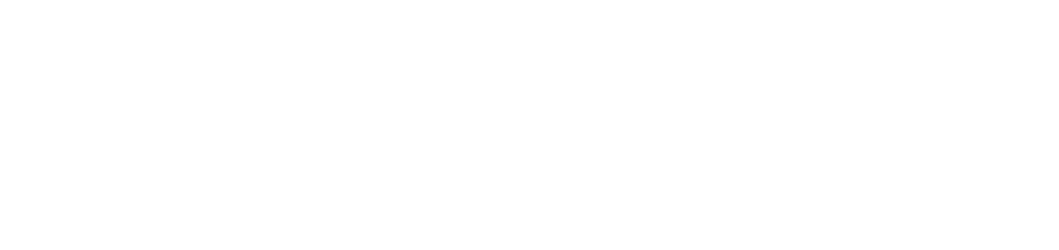 Oasys Large Logo White.png - Brand - Web3icon