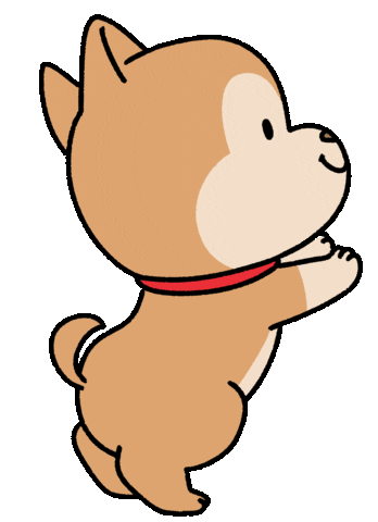 This is a gif of the dog