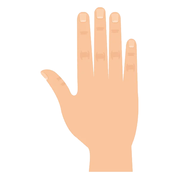 Hand