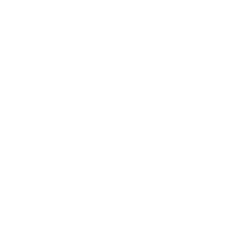 Bock Boutique Fitness_logo