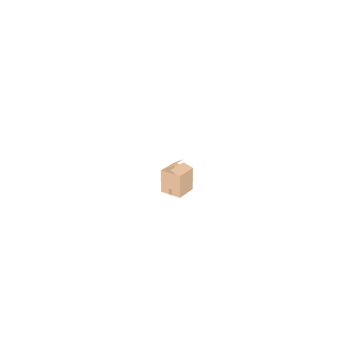 Cardboard Box Closed