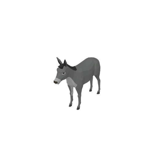 Donkey