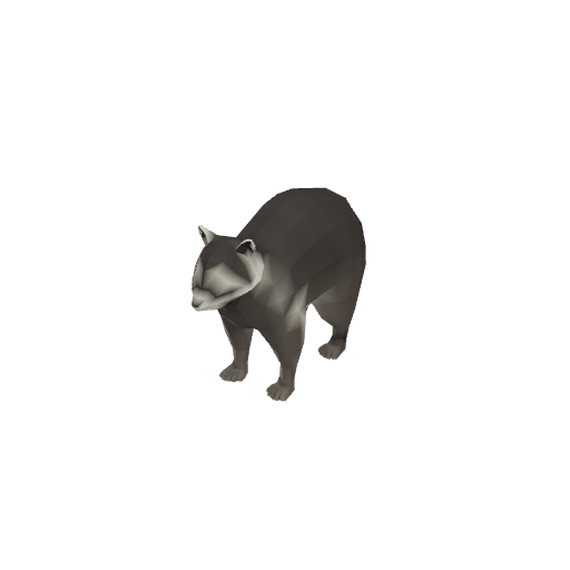 Raccoon