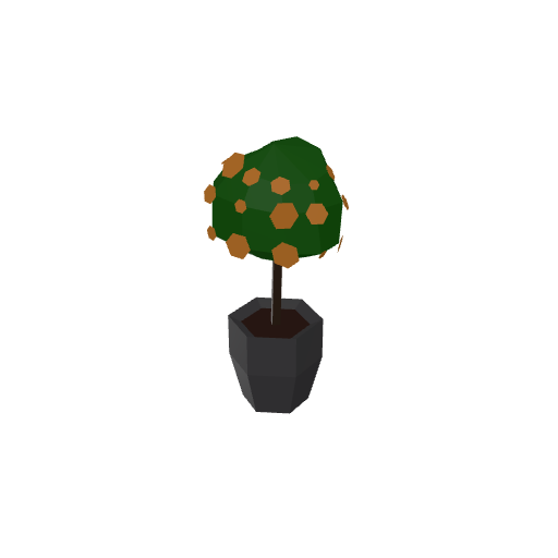 Flower Pot