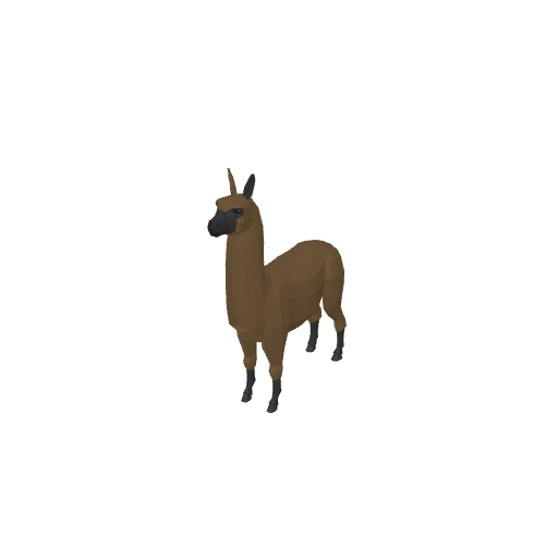 Alpaca
