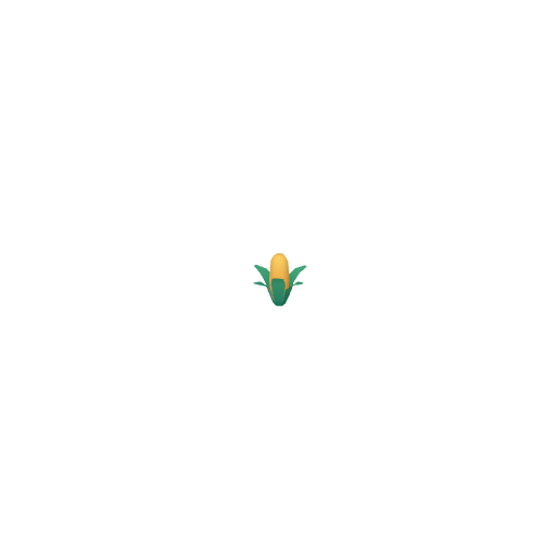 Corn