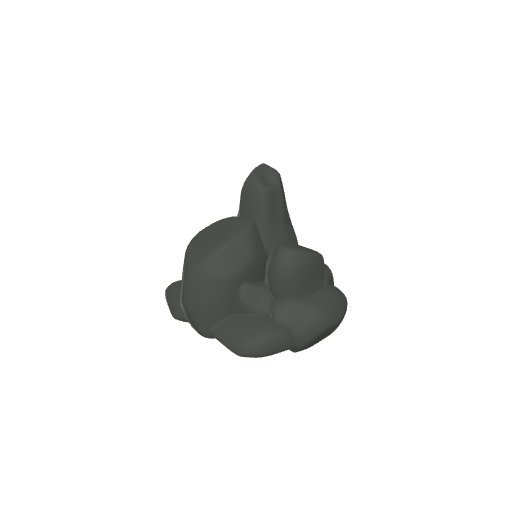 Rocks