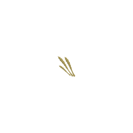 Wheat Icon