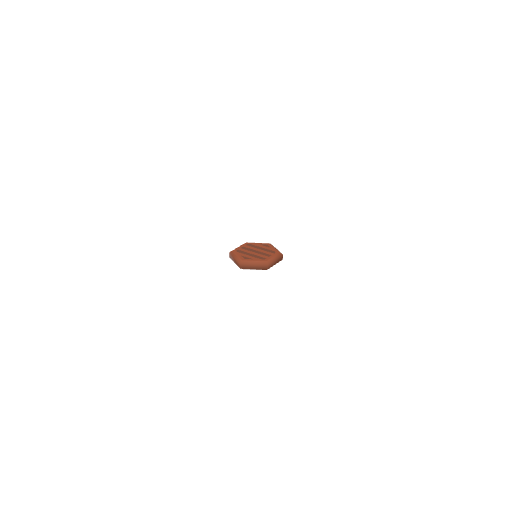 Meat Patty