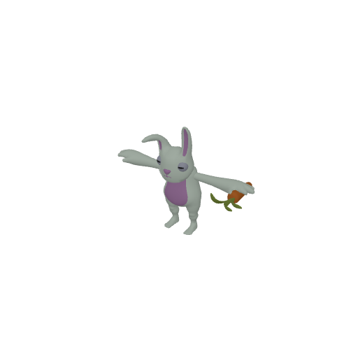 Bunny
