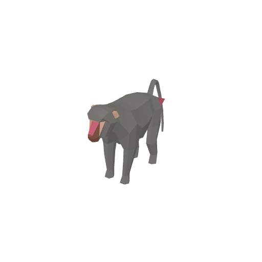 Baboon