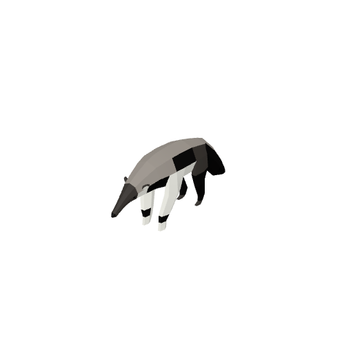 Anteater