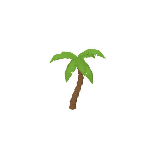 Palm Tree