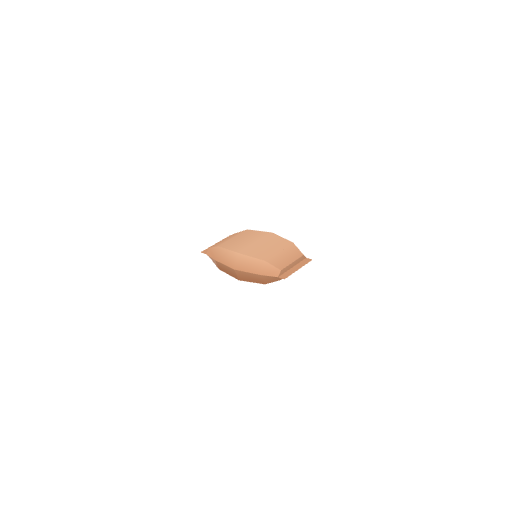 Bag Flat