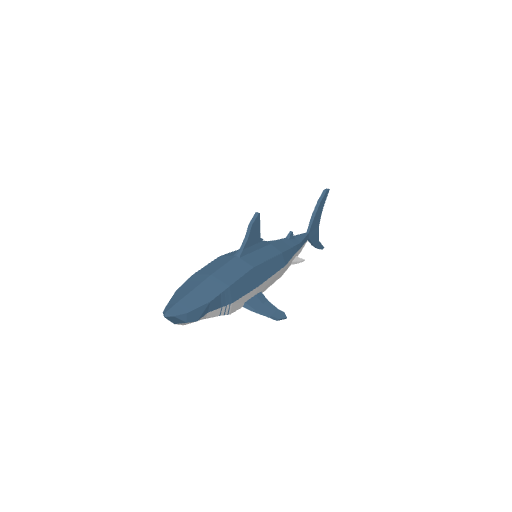 Shark