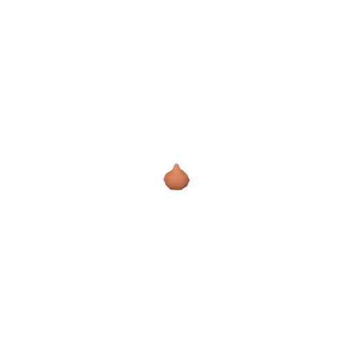 Onion