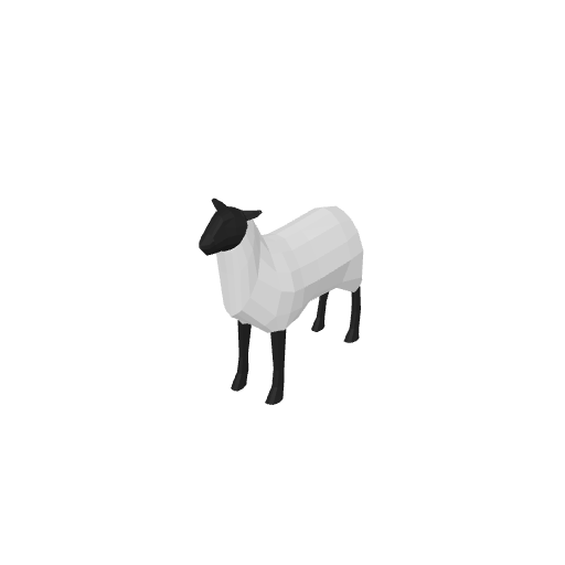Sheep