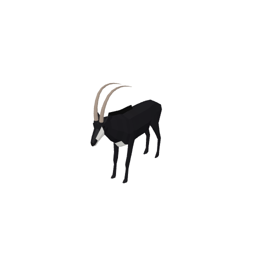 Antelope
