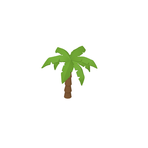 Palm Tree