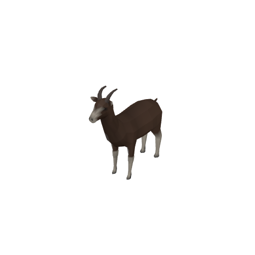 Goat