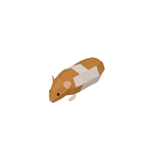 Hamster