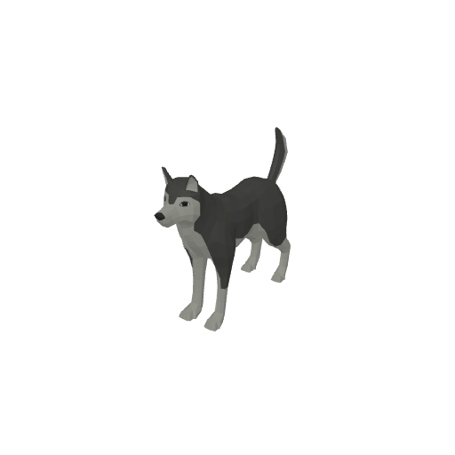 Husky
